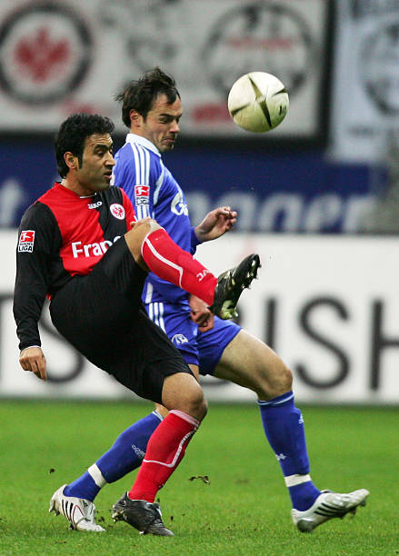 的热情与尊 的热情与尊